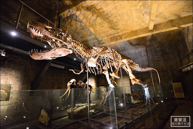 宜蘭蘇澳最新景點》近距離觀賞暴龍化石，Robert-Y瘋狂夢想藝術園區真的超不可思議(雨天備案)