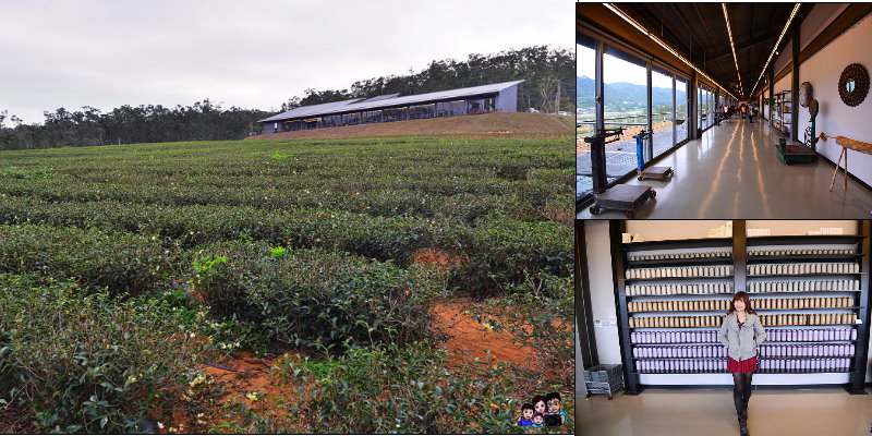 【苗栗新景點】山上喝茶看火車真有趣  銅鑼茶廠 ~台灣農林最新觀光茶園