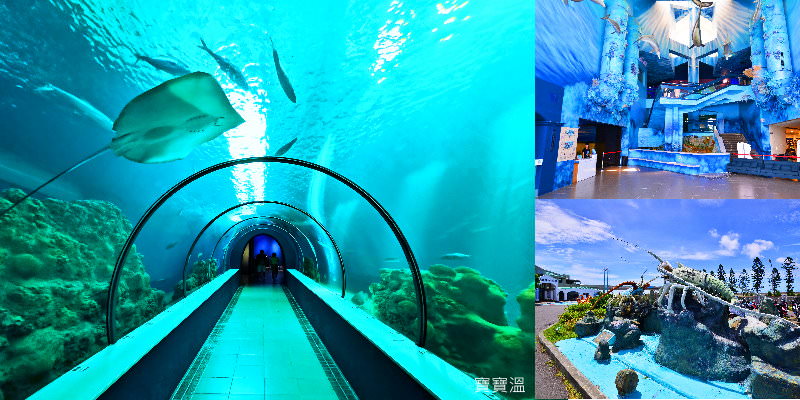 澎湖必去景點「澎湖水族館」全新海底隧道, 海星觸摸池, 趣味餵食秀, 室內親子景點(優惠門票/交通資訊)