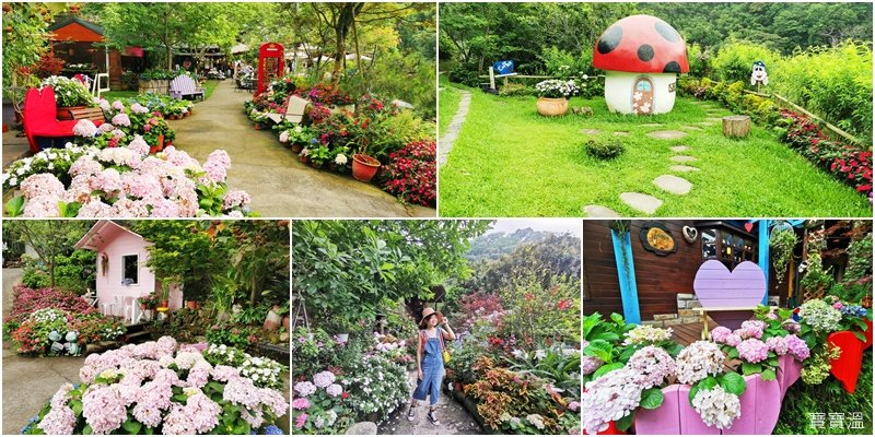 苗栗南庄景觀餐廳》碧絡角花園咖啡. 山中的美麗繡球花花園. 浪漫造景好好拍