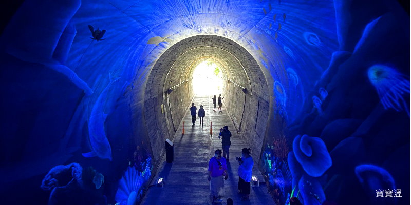 宜蘭蘇澳新景點｜蘇東隧道~3D海底彩繪隧道，怎麼去/停車資訊/點燈時間