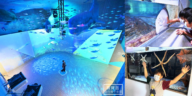 基隆新景點》基隆潮境智能海洋館 四大展區全攻略, 沉浸式海洋VR體驗, 海底世界直播, 近距離看海洋生物