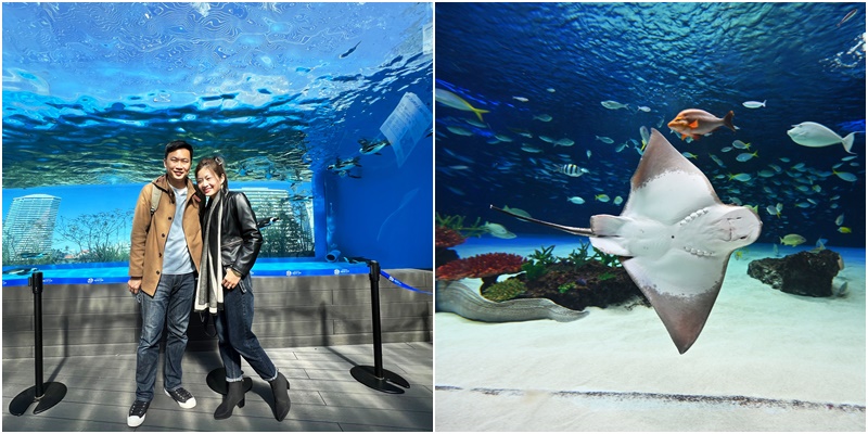 東京市區就有水族館｜池袋陽光水族館(Sunshine Aquarium)，必玩三大區域必拍TOP5攻略，還可以順遊寶可夢中心