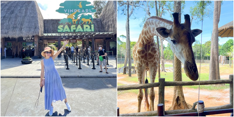 越南富國島親子景點｜珍珠野生動物園 Vinpearl Safari Phu Quoc , 近距離餵長頸鹿、環尾狐猴, 免費搭野生動物遊園車