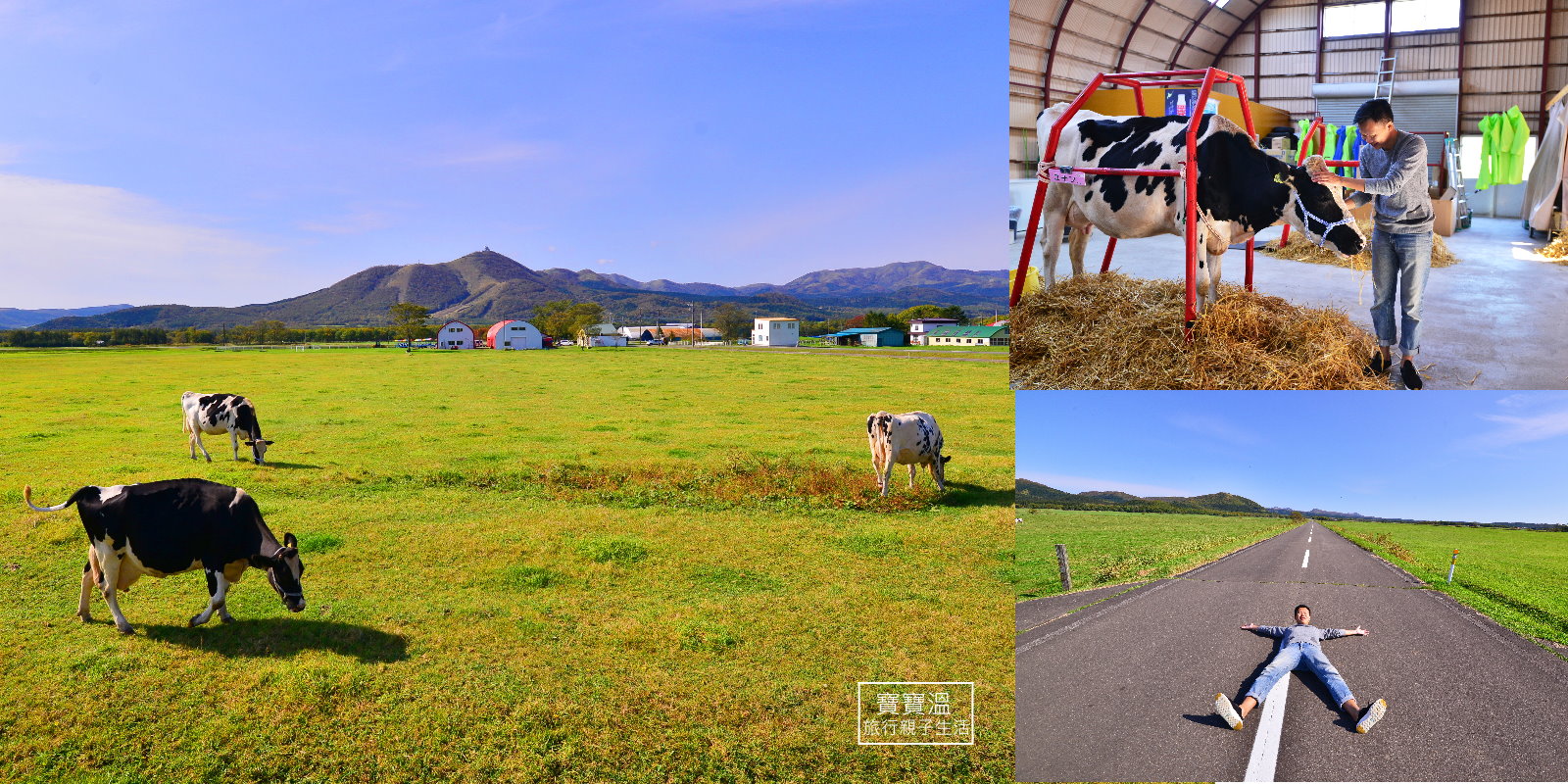 北海道道東「渡邊體驗牧場」體驗擠北海道牛乳, 搭拖拉機走在一望無際的天堂路上