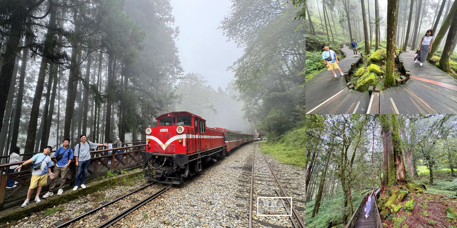 嘉義阿里山國家森林遊樂區(交通資訊、小火車資訊、住宿資訊一次看)