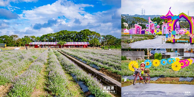 桃園仙草花節》2大展區5個花田遊樂園裝置搶先看, 看花海追高鐵, 桃園楊梅休閒農業區(附詳細交通資訊、接駁車位置、會場位置)