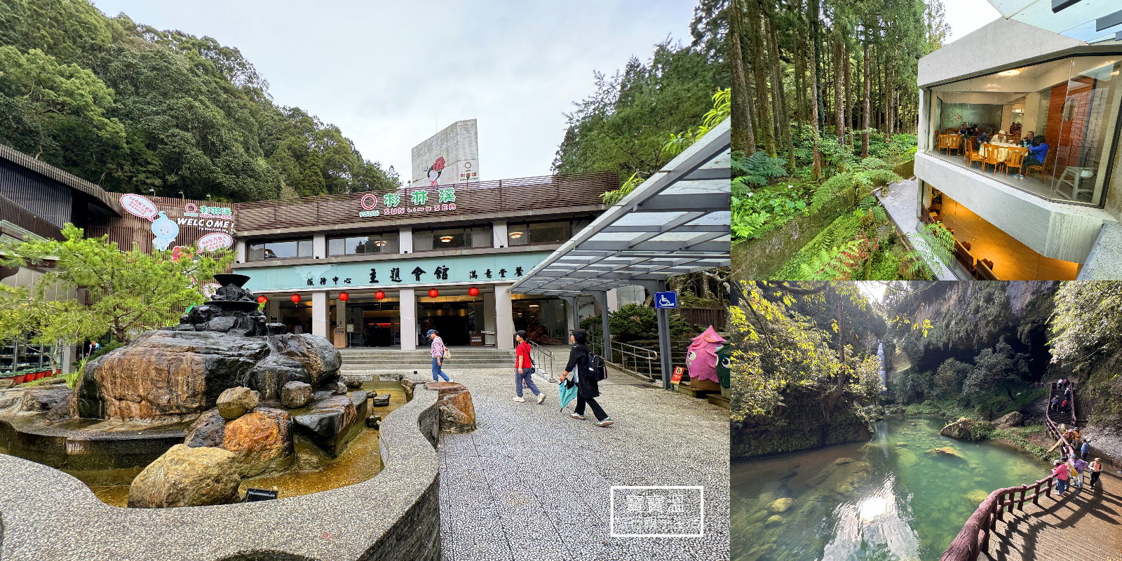 南投杉林溪住宿【杉林溪會館】賞花避暑看螢火蟲, 夜間生態導覽超棒