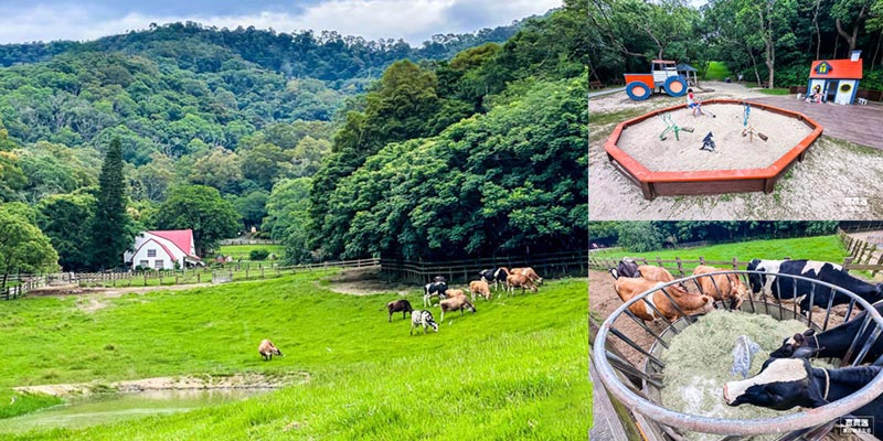 苗栗住宿【飛牛牧場】Flying Cow Ranch 歐風牧場住一晚, 大草原看牛羊, 園區行程建議