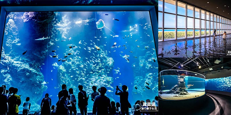 台中新景點【台中海洋館】全台最新海洋館開箱, 八大展區全攻略, 沉浸式海洋體驗, 附購票方式/參觀路線/交通資訊