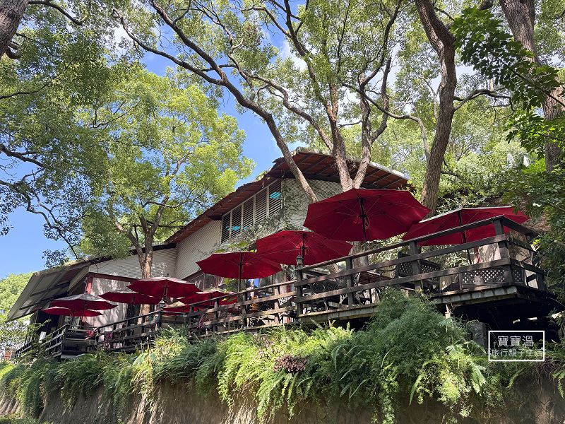 苗栗通霄【上田咖啡休閒莊園】隱藏在40年樟樹林中的秘境景觀餐廳, 森林系咖啡館