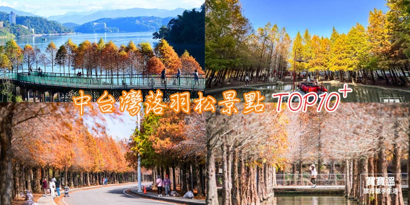 中台灣落羽松景點懶人包TOP10+》苗栗/台中/南投/雲林落羽松秘境全收錄, 冬季限定美景帶你一次看