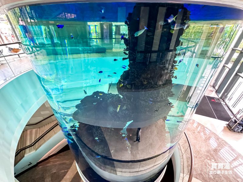 香港親子飯店【香港海洋公園萬豪酒店 Ocean Park Marriott Hotel】香港海洋公園最佳親子酒店推薦, 海島風兒童戲水池