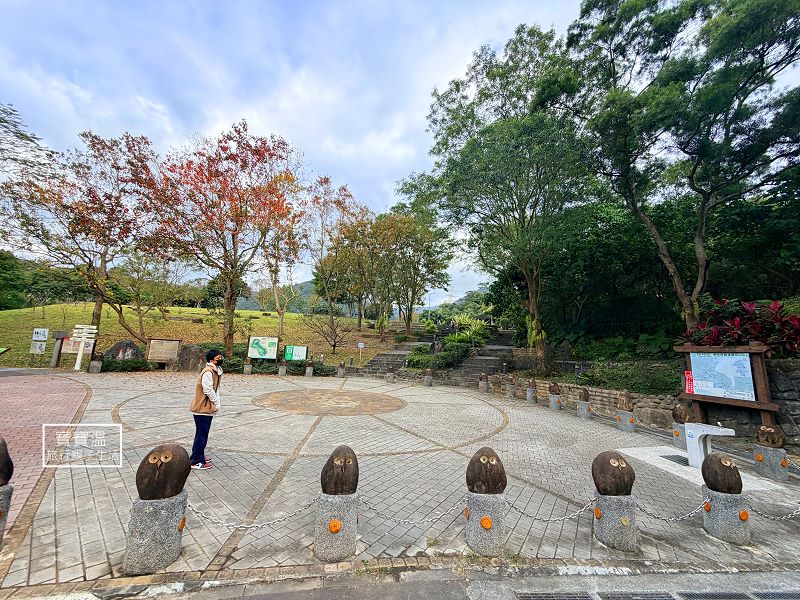 台北內湖【大溝溪親水步道】捷運可到輕鬆步道, 冬天走春賞花海, 夏天玩水踏青