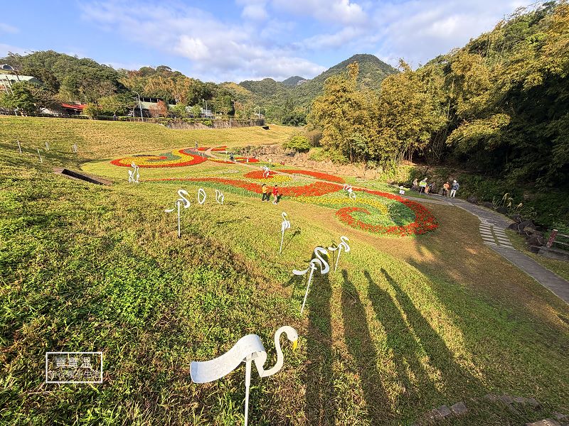 台北內湖【大溝溪親水步道】大溝溪生態治水園區花海