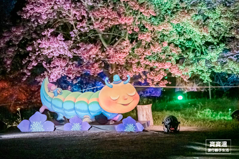 天元宮夜櫻》新北賞櫻景點, 期間限定視覺系賞櫻景點, 不只白天美夜晚更美, 賞櫻花期/最新花況/交通資訊