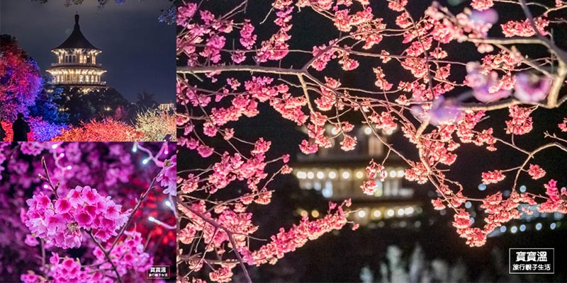 天元宮夜櫻》新北賞櫻景點, 期間限定視覺系賞櫻景點, 不只白天美夜晚更美, 賞櫻花期/最新花況/交通資訊