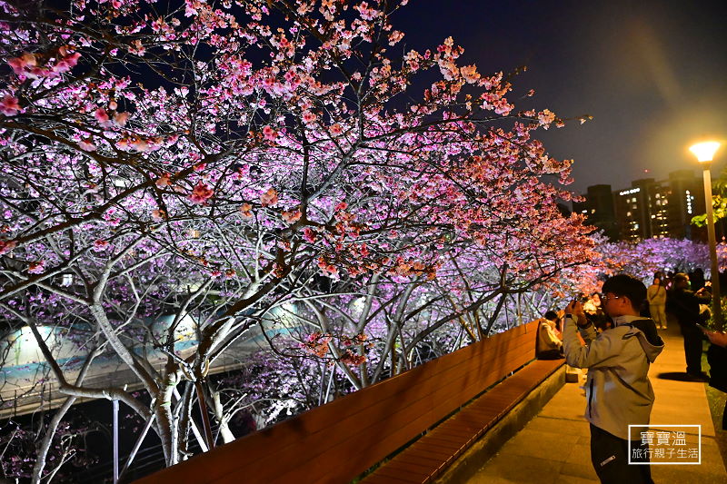 台北走春景點 東湖樂活公園