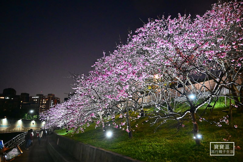 台北走春景點 東湖樂活公園