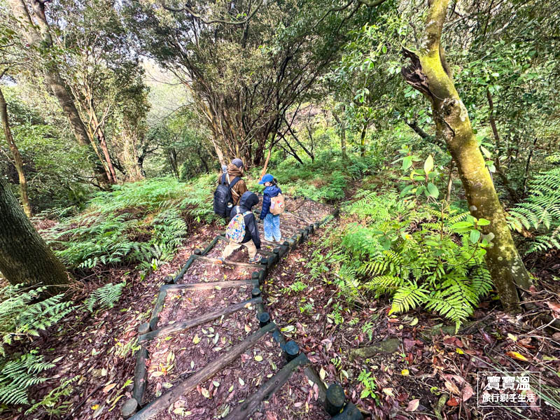 台北步道【紫明溪步道】陽明山天然野溪硫磺湧泉, 森林系步道走十分鐘就能泡腳, 附交通資訊/周邊景點