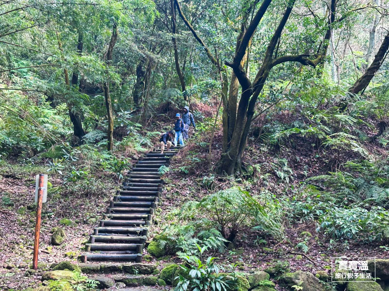 台北步道【紫明溪步道】陽明山天然野溪硫磺湧泉, 森林系步道走十分鐘就能泡腳, 附交通資訊/周邊景點