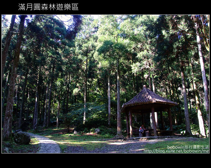 [ æ°åå¸ä¸æ¥é ] ä¸å³½æ»¿æåæ£®æéæ¨å