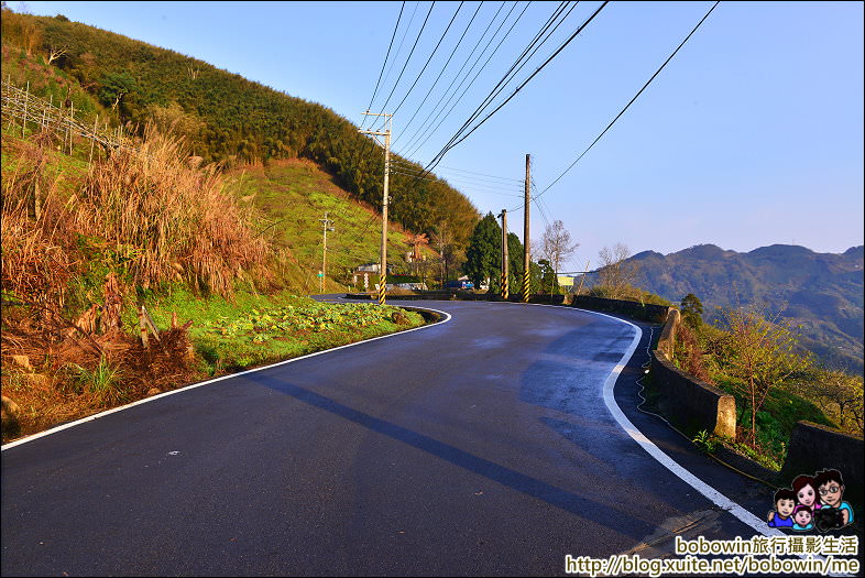 DSC_7090.JPG - 新竹左岸涼山露營