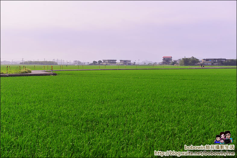 DSC_2449.JPG - 宜蘭冬山伯朗大道