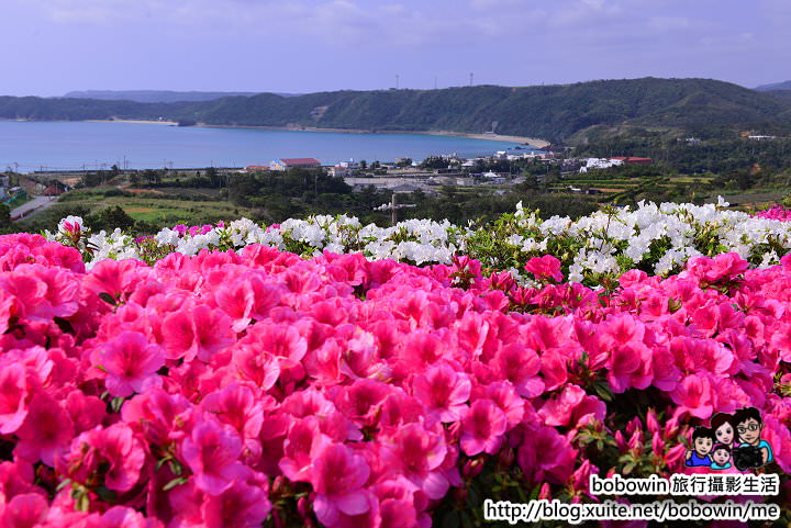 DSC_0190.JPG - 沖繩30個景點