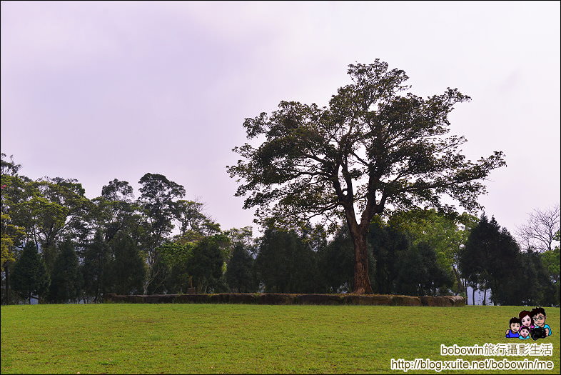 DSC_0849.JPG - 老官道休閒農場露營區