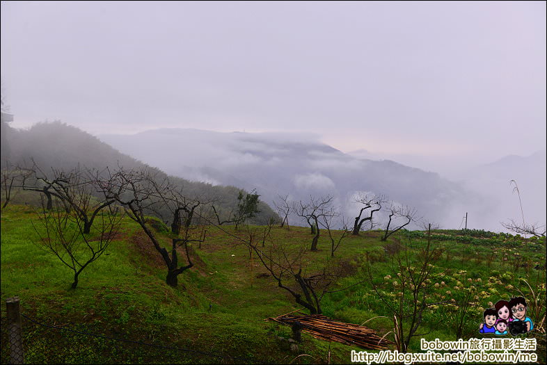 DSC_6958.JPG - 新竹左岸涼山露營