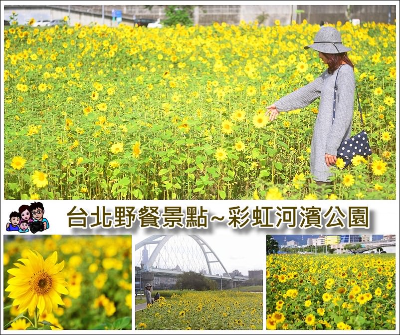 【 台北賞花野餐景點 】彩虹河濱公園 千坪向日葵花海現正開放，有如明信片般風景畫