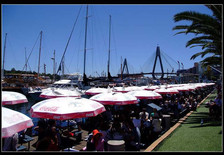 [ 澳洲  ] 雪梨漁市 SYDNEY FISH MARKET