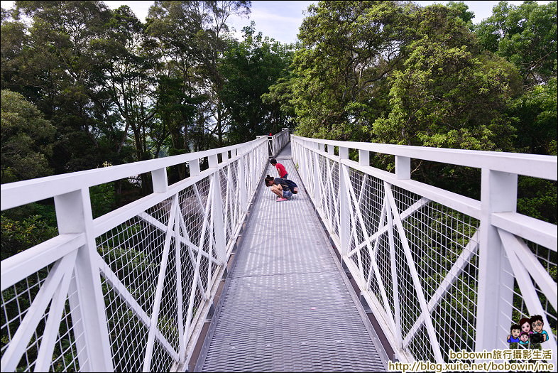 嘉義景點｜竹崎親水公園天空步道