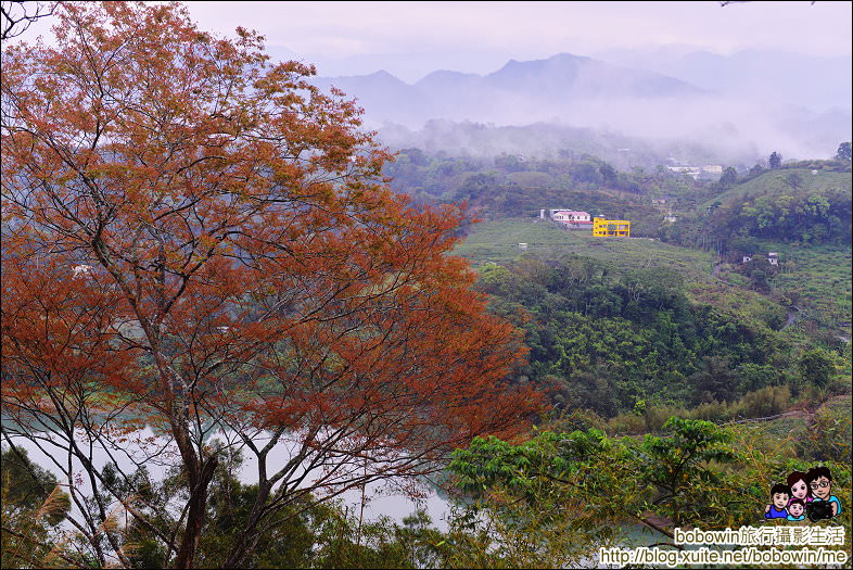 DSC_1148.JPG - 老官道休閒農場露營區