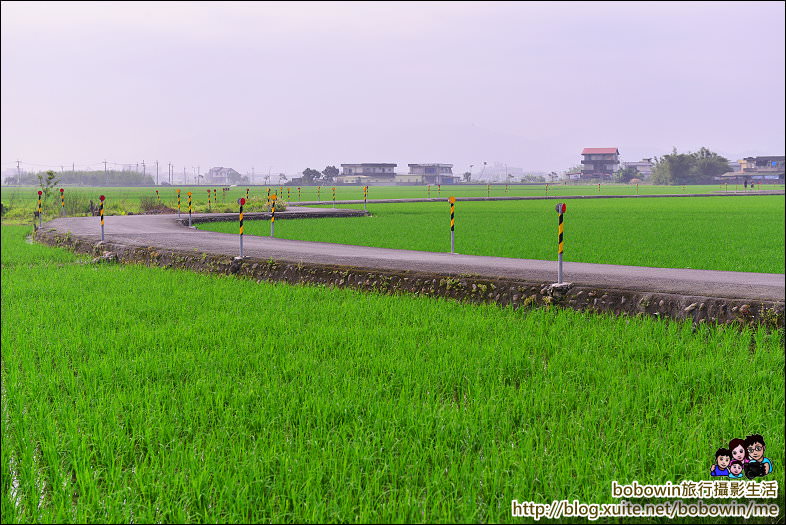 DSC_2455.JPG - 宜蘭冬山伯朗大道