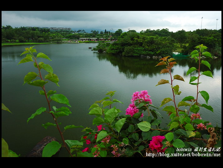 DSC_9705.jpg - 羅東運動公園