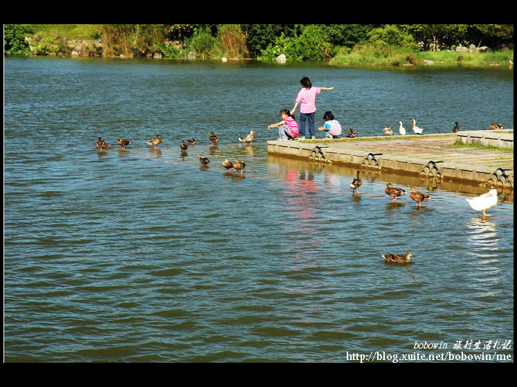 DSC_2688.JPG - 羅東運動公園