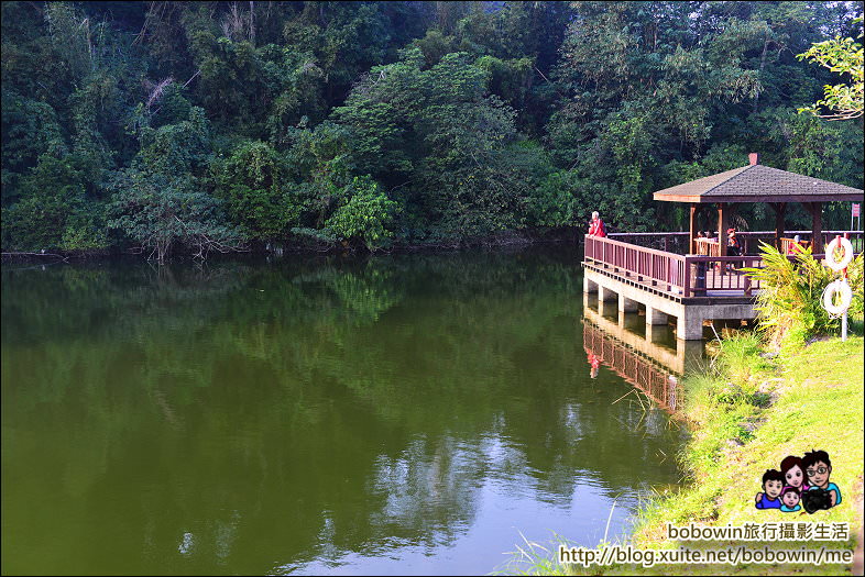 DSC_4225.JPG - 桃園三坑自然生態公園