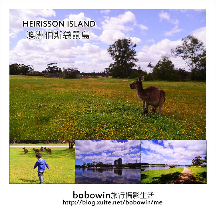 [ 澳洲伯斯] Perth HEIRISSON ISLAND 袋鼠島