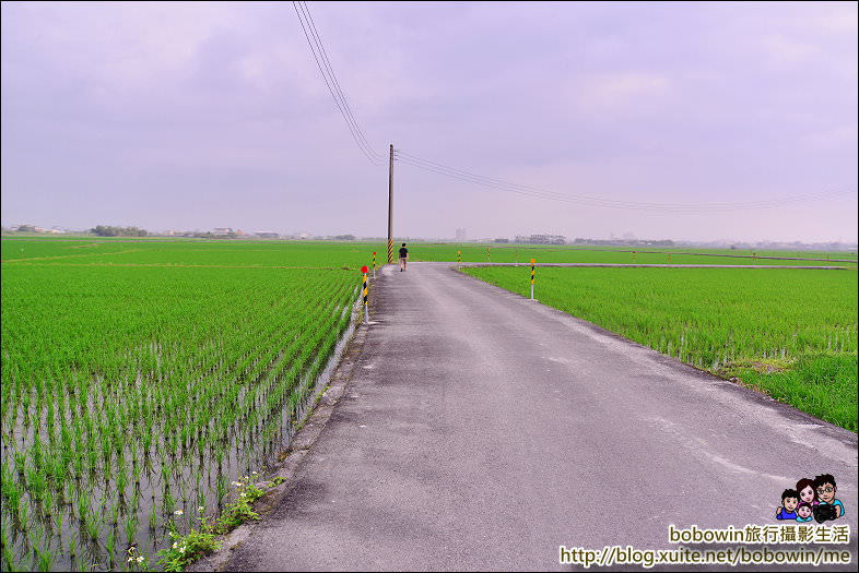 DSC_2400.JPG - 宜蘭冬山伯朗大道