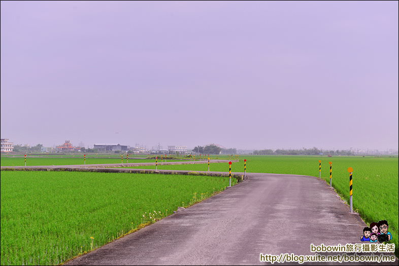 DSC_2426.JPG - 宜蘭冬山伯朗大道