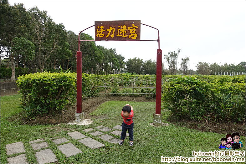 DSC08178.JPG - 桃園新屋活力健康農場