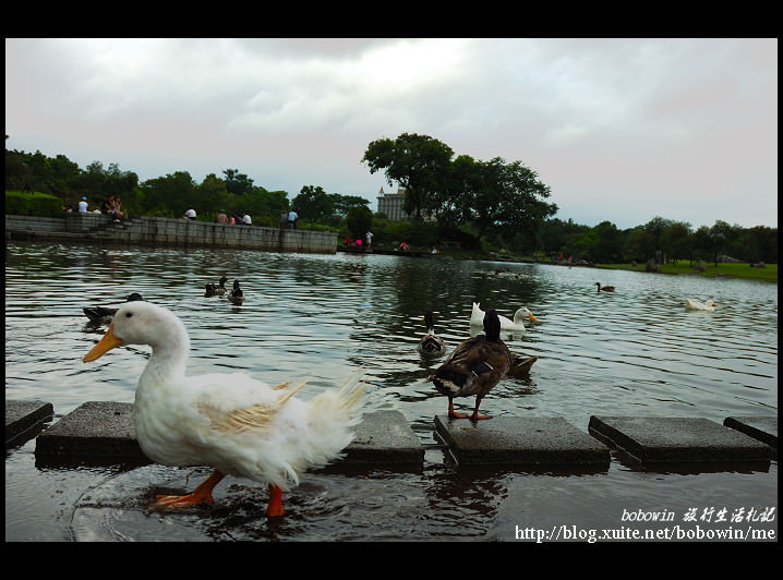 DSC_9743.jpg - 羅東運動公園