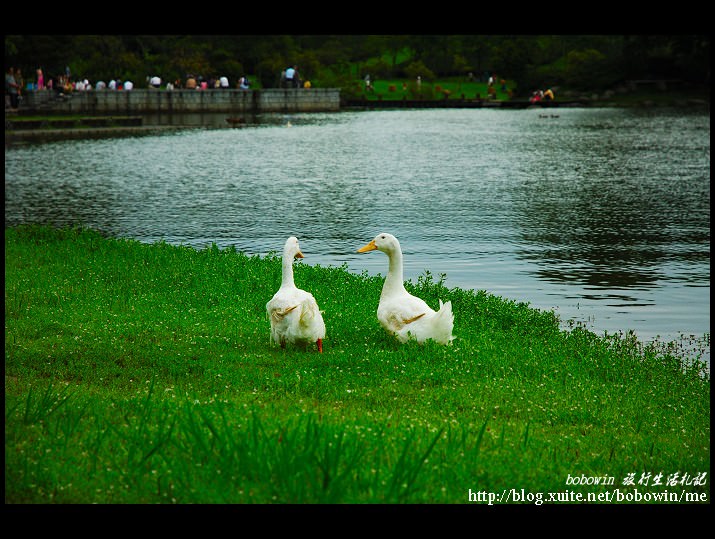 DSC_9727.jpg - 羅東運動公園