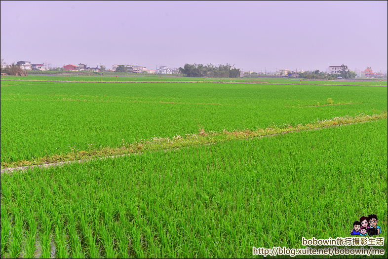 DSC_2403.JPG - 宜蘭冬山伯朗大道