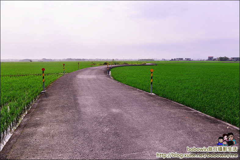 DSC_2454.JPG - 宜蘭冬山伯朗大道